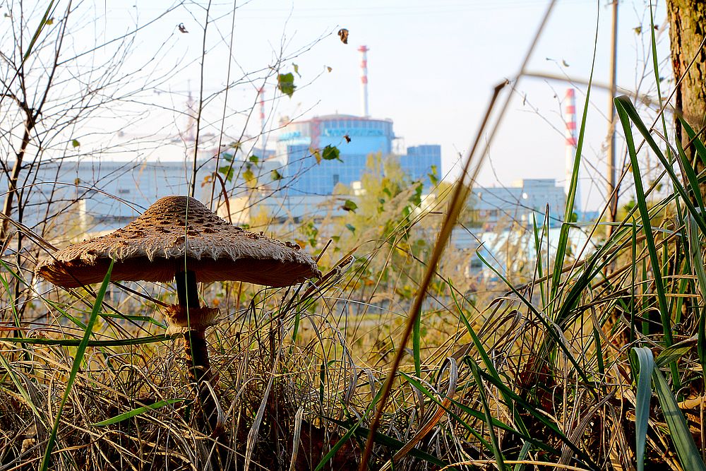 Цех радіаційної безпеки перейшов тридцятип’ятирічний рубіж